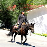 有型阿伯下天山：買哈密瓜