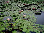 2006-02-23-0003A