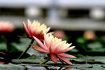 2006-02-24-0007_RJA