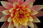 2006-02-24-0011_RJA