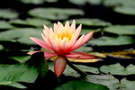 2006-02-24-0012_RJA