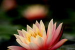 2006-02-24-0014_RJA