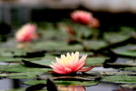 2006-02-24-0015_RJA