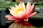 2006-02-24-0019_RJA