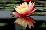 2006-02-24-0022_RJA