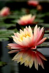 2006-02-24-0024_RJA