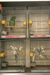 2006-08-18-0622_JFR