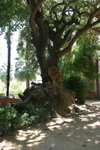 2006-08-19-0803_JFR