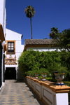 2006-08-19-0821_JFR