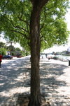 2006-08-19-0871_JFR