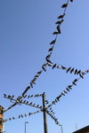 2006-08-31-3054_JFR