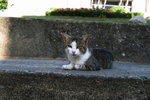 2006-08-31-3179_JFR