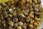 2006-09-02-3292_JFR