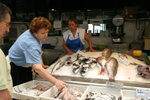 2006-09-02-3294_JFR