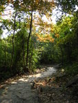 2007-10-21-0011
