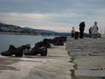 IMG_0482level