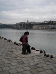 IMG_4765level