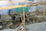 IMG_0353level
