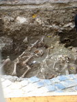 IMG_0623level