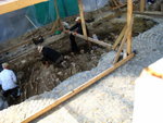 IMG_0624level