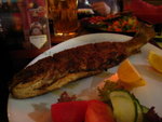 IMG_0744level