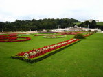 IMG_0898level