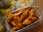 IMG_0935level