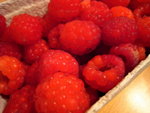 IMG_0936level