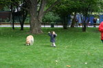 IMG_0554level