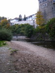 IMG_1326level