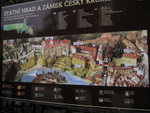IMG_5206level