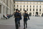 IMG_0806level