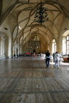 IMG_0837level