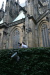IMG_0846level
