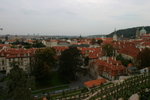 IMG_0869level