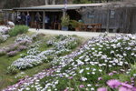 Kate Berry Farm