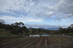 Kate Berry Farm
