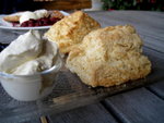 Homemade scone - 好吃, 比平時吃的鬆軟