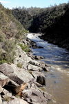 IMG_0621level