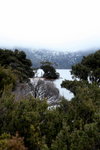 IMG_0951level