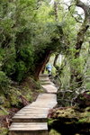 IMG_0967level