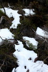 IMG_0976level