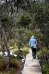 IMG_0981level