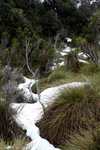 IMG_0982level