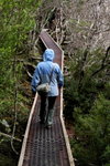 IMG_0996level