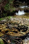 IMG_1001level