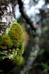 IMG_1030level