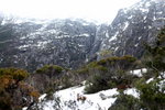 IMG_1044level
