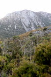 IMG_1061level