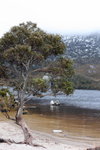 IMG_1092level